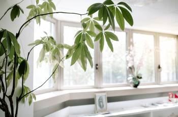 Frauenarztpraxis am Museum Einblicke